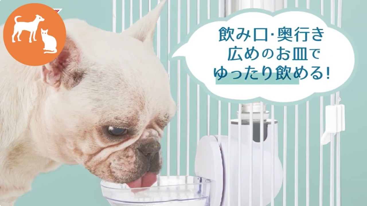 ノズルよりたっぷり飲める!ワンちゃんネコちゃんの特徴に合わせた