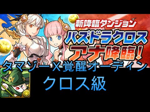 パズドラ タマゾーx覚醒オーディン パズドラクロス アナ降臨 可憐な龍喚士 クロス級 Pad 龍族拼圖 Youtube パズドラ タマゾーx覚醒オーディン パズドラクロス アナ降臨 可憐な龍喚士 クロス級 Pad 龍族拼圖 Youtube