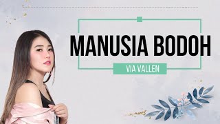 Via Vallen - Manusia Bodoh (Ada Band) Lirik Video With Spectrum | Live Music Koplo