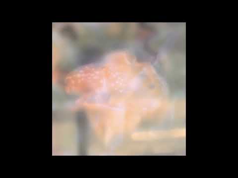 Soft Focus artwork