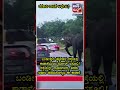 ತರಕಾರಿ ರಾಜ 💥😍 #janasuddhitv #viral #smartelephant #wildelephant #trending #animals #kannadanews