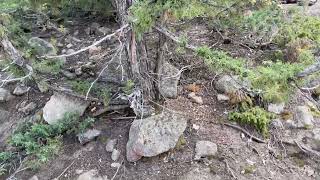 IMG 4576