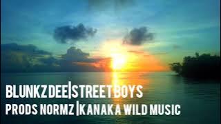 BLUNKZ DEE _x_STREETBOYS__BY NORMZ __kanaka wild music 
