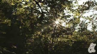 Stillness - Instrumental Piano Music for Prayer, Worship, & Meditation - JTWorshipPiano