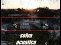SELVA ACUATICA ( EXPLORACION URBANA )