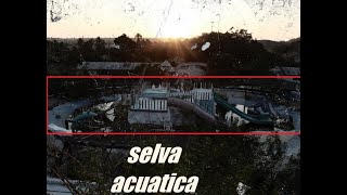 SELVA ACUATICA ( EXPLORACION URBANA )