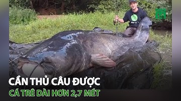 Cần thủ câu được cá trê dài hơn 2,7 mét | VTC14
