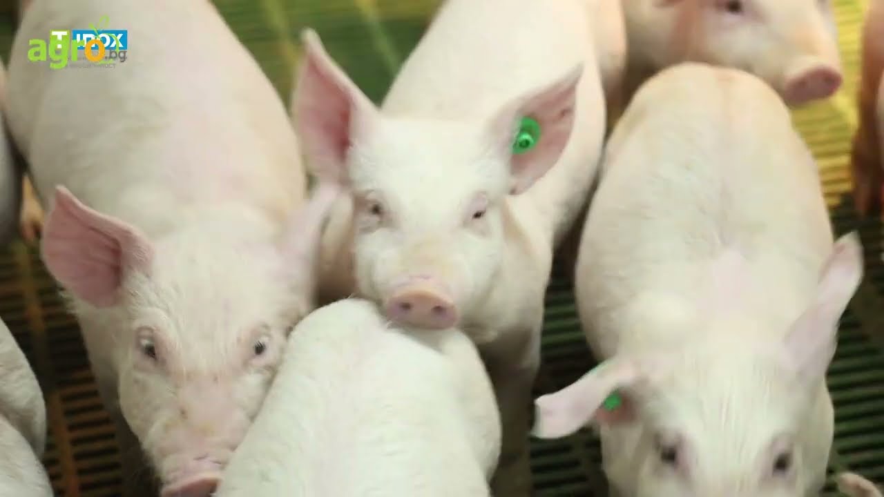 Иновативни технологии за биосигурност