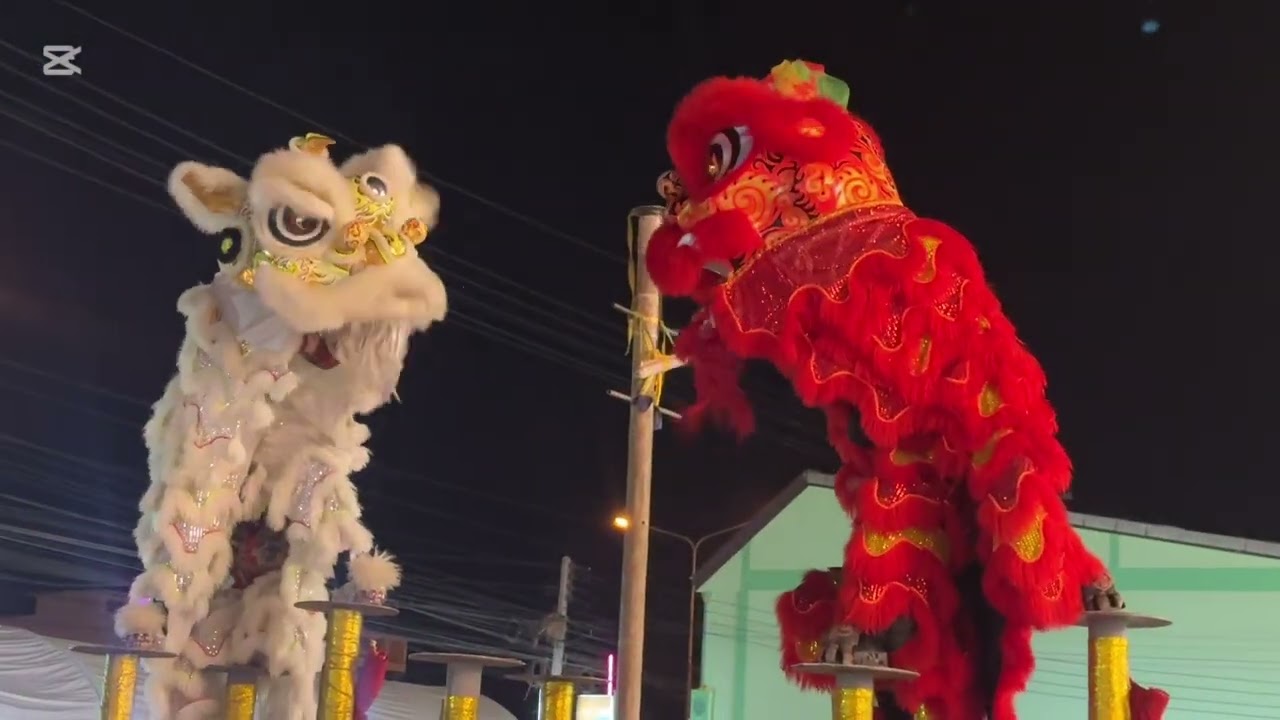 งานประจำปีศาลเจ้าพ่อสระยายโสม 2568