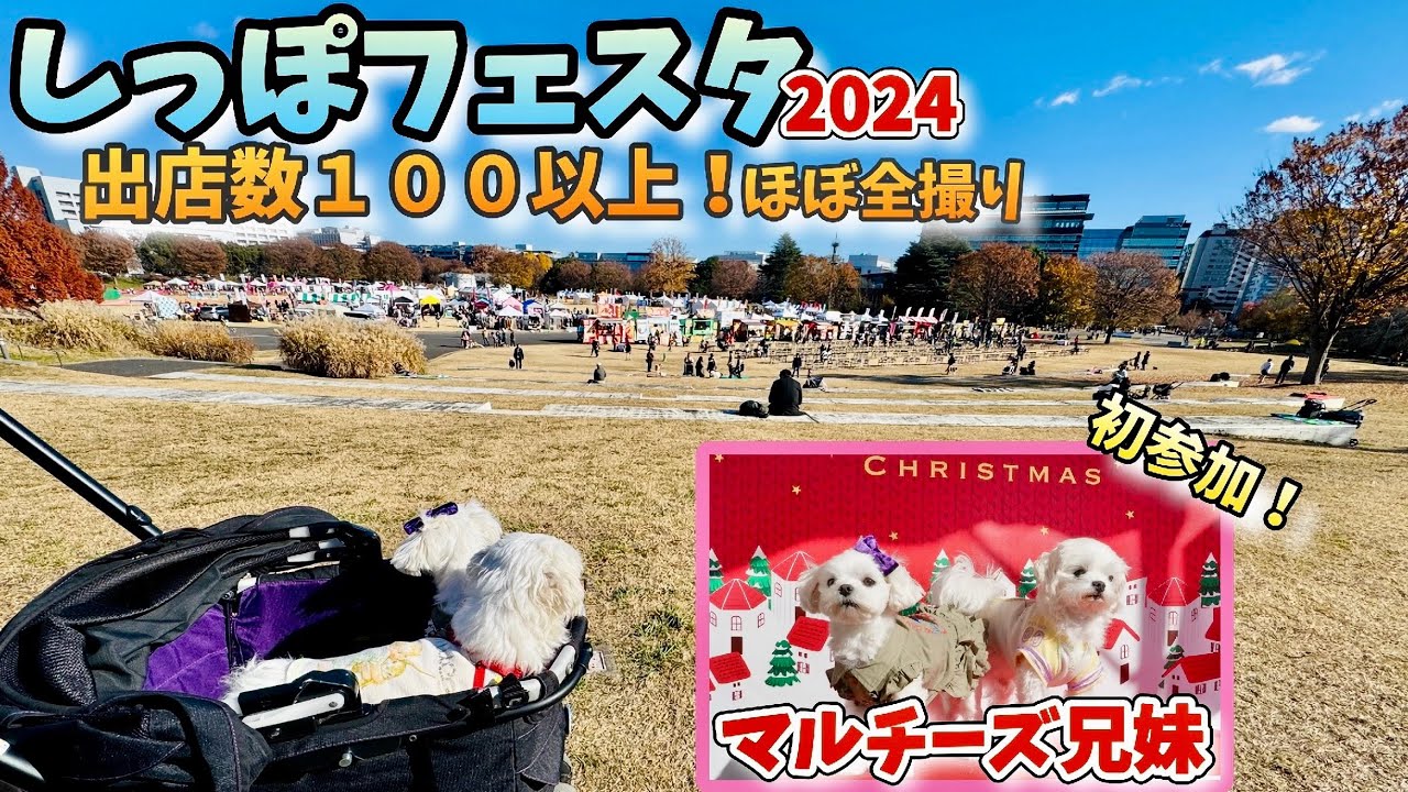 【しっぽフェスタ2024】お店ほぼ全撮り　あっという間の１日でした！
