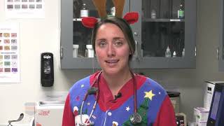 Download Lagu December Pet Holiday Awarness MP3