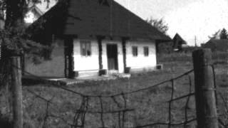 CEZARICA DIN BUZAU   S-a trezit maicuta-n zori