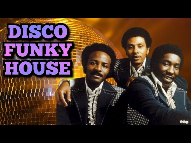 Disco Funky House #19 (Jamiroquai, The Trammps, Heatwave, The O'Jays, Bob Sinclar, Bob Marley) class=