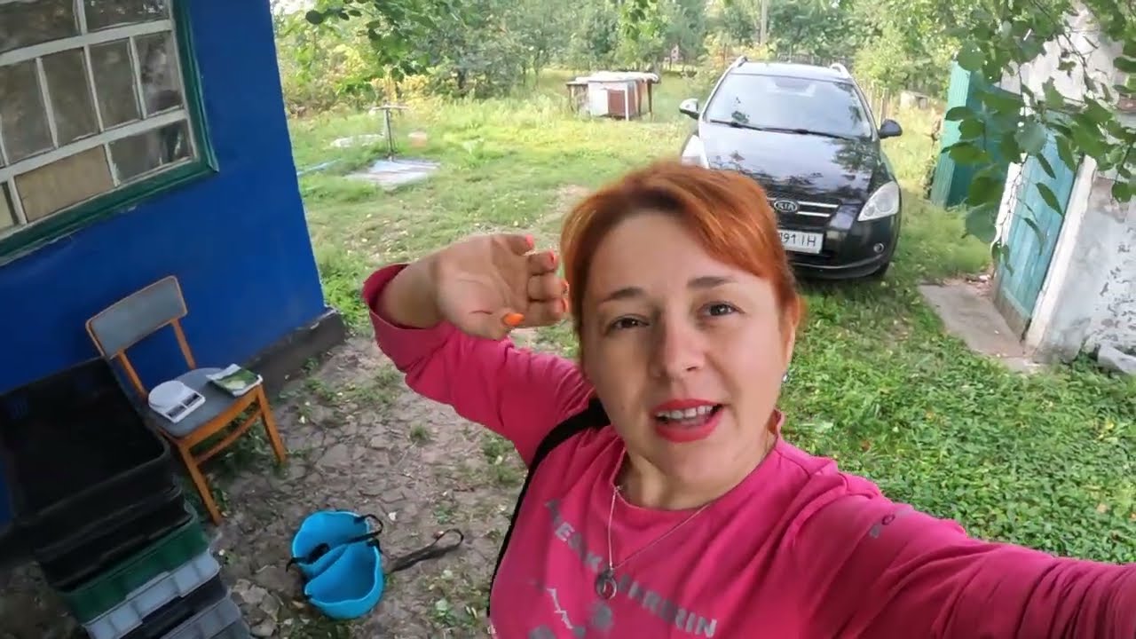 Ціни на малину. Збираємо малину на продаж.