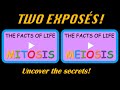 Mitosis meiosis trailer