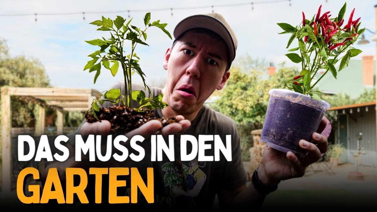 Selbstversorger Garten? 😍 Tomaten Gurken und Chili für den eigenen Anbau im Mai!