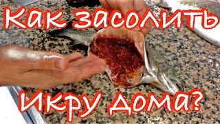 Как засолить красную икру ?! - Ivan Life - Antalya   [IVAN LIFE](Если вы купили горбушу или форель и нашли в ней целое брюшко красной, крупной икры? Как ее засолить. Думаю,..., 2016-03-15T11:41:57.000Z)