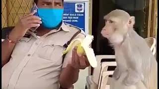 3078D2B8 1588092014772 C V 40B0Feba 763A 4215 8F10 A3B1Eff37200