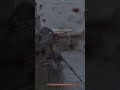 Taking out a mage bandit in #skyrim