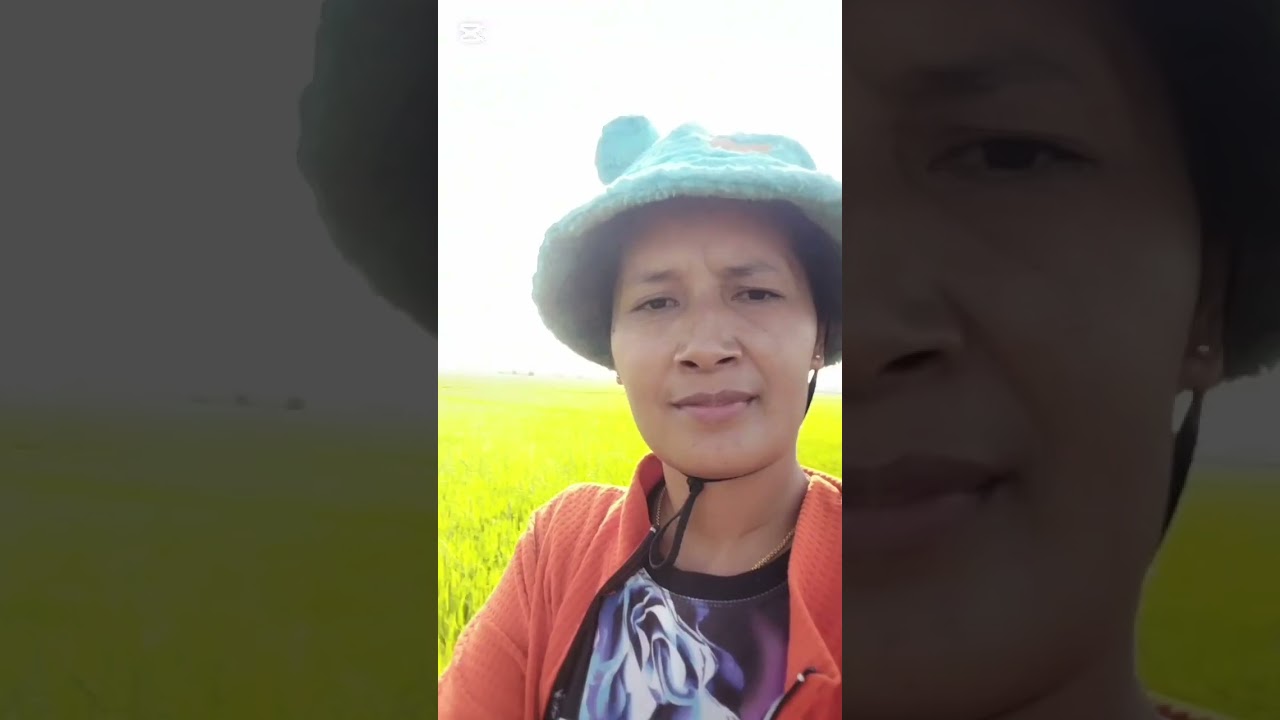 Come to the rice fields to water the rice.