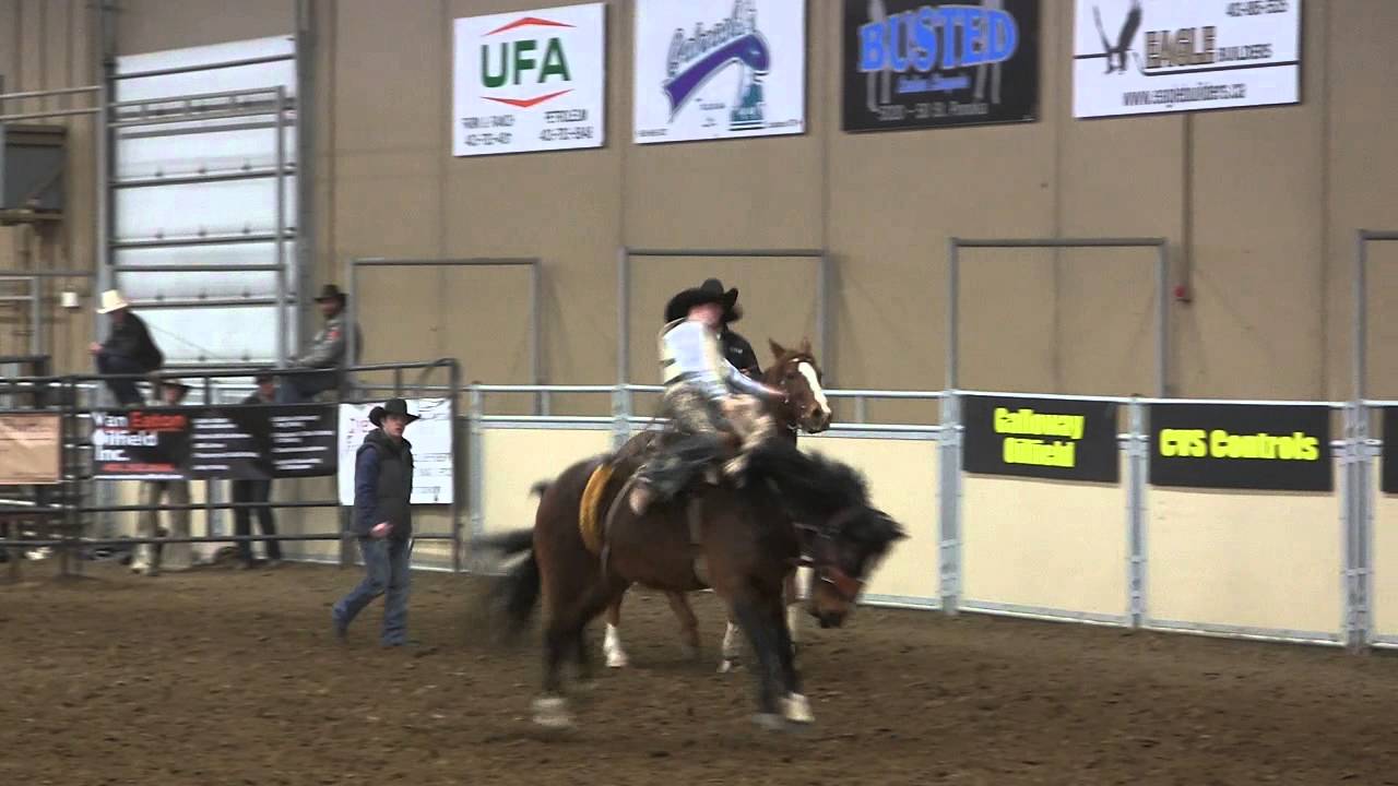Lane Watt vs. Big Country's Miss Molly. Ponoka Rodeo Masters Futurity '12