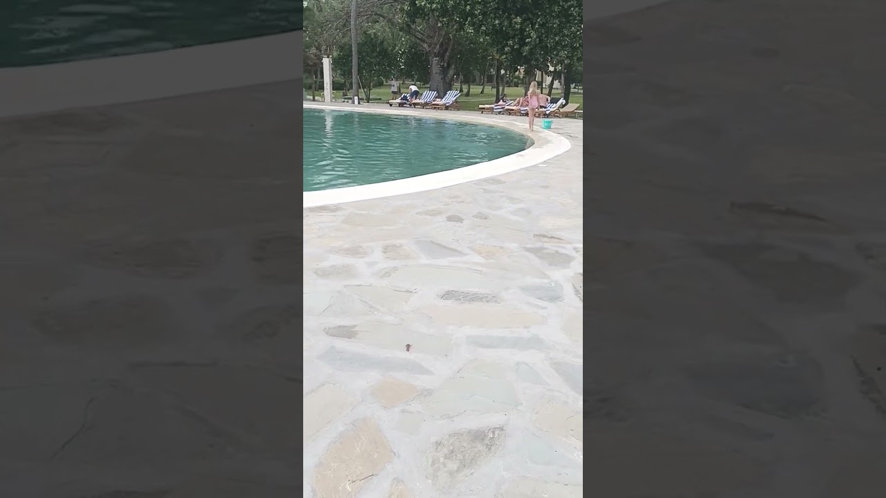 The Pool of Siloam - Aquamist Mineral Water, Diamonds (Prisoner, Lucky Dube)