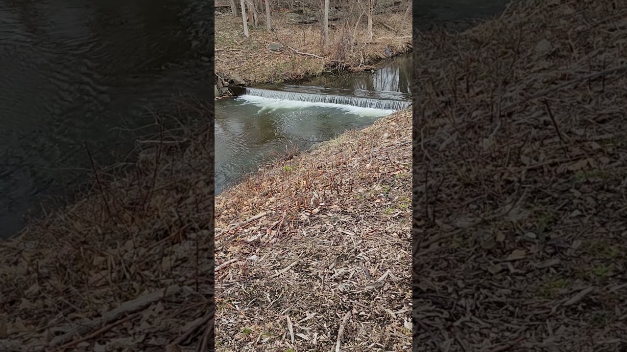 Lower Dam on the Mill Race Oneonta, NY