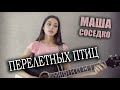 Авторская песня под гитару - ПЕРЕЛЕТНЫХ ПТИЦ | Маша Соседко | guitar song