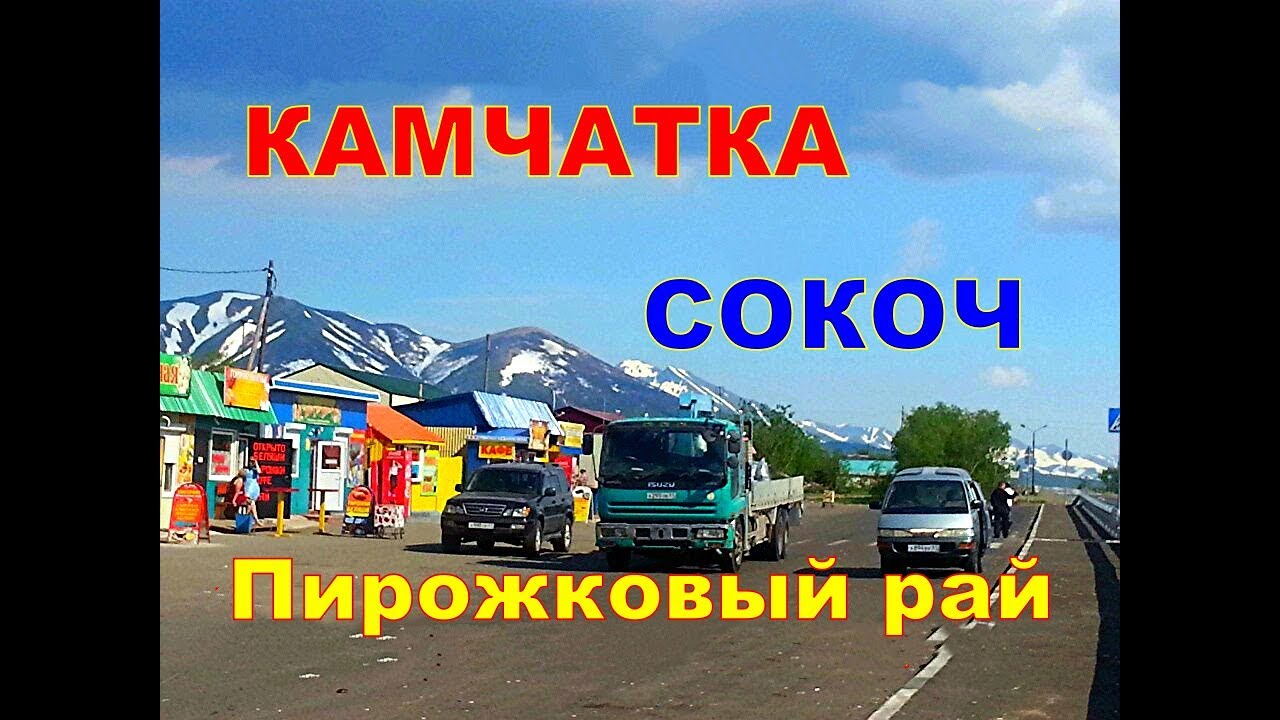 Дром форестер камчатка