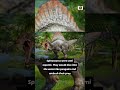 10 Disturbing Dinosaur Facts You NEED To See.