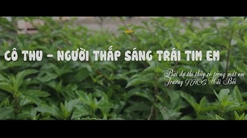 Cô Thu - Người thắp sáng trái tim em