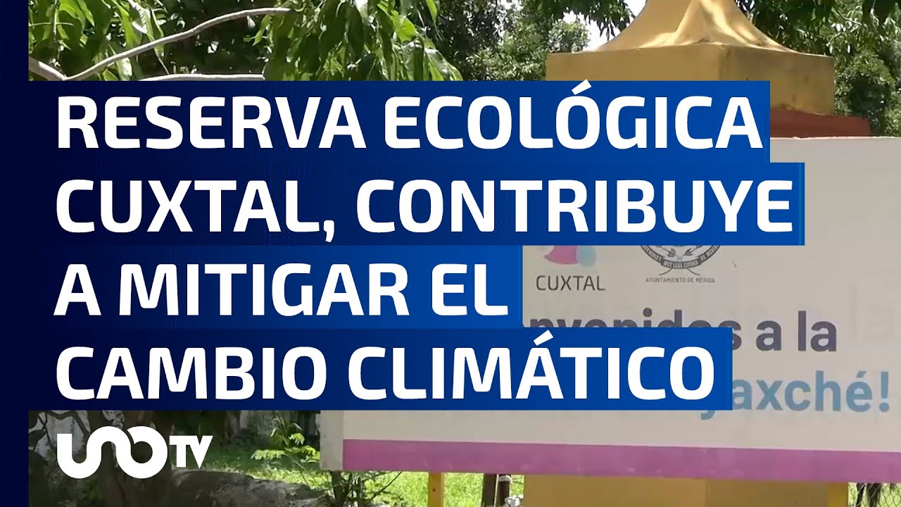 Cuxtal: el pulmón verde más grande de Mérida