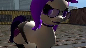 the worst server on gmod - pony rp