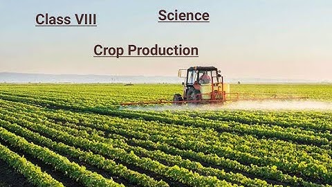 Class VIII Science 11 12 2020 by Ms Mridulata Upadhyay (Chapter 1 Crop production and management)