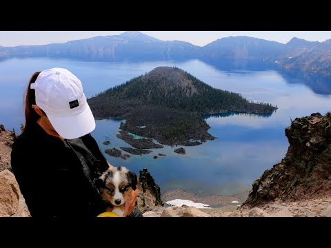 17] PUPPY SURPRISE: A New Crew Member | Abandon Comfort – USA Road Trip & Boondocking