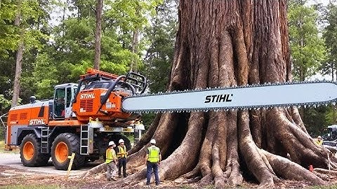 Pohon-pohon Raksasa Ditebang dalam Hitungan Detik – Penebangan Pohon Berisiko yang Terbaik