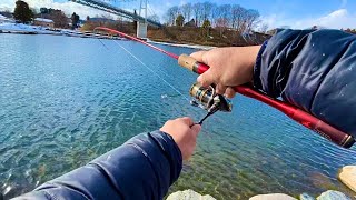 冬の管釣りで初心者でも超簡単に釣れるルアーはこれ!!