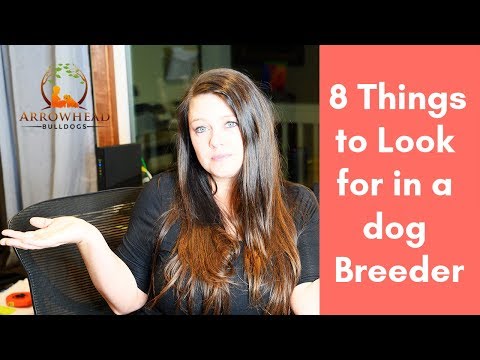 वीडियो: 8 युक्तियाँ एक प्रतिष्ठित कुत्ते ब्रीडर को खोजने के लिए