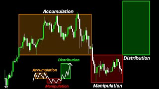 Bitcoin Whales Are Manipulating You Watch This Before You Get Rekt