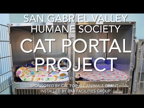 SGVHS Cat Portal Project
