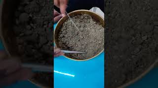Direct Shear Test Soil Sample