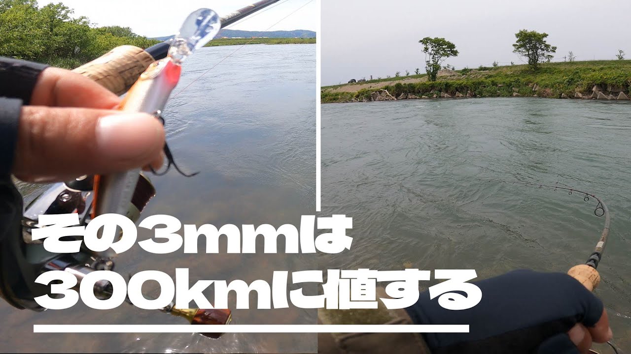 2023 [九頭竜川]♯32　その3mmは300kmに値する 　[サクラマス]