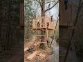 Magical Treehouse Transformation 🌲✨ 😍 | #architecture #satisfying #timelapse #diy #usa #yt #shorts