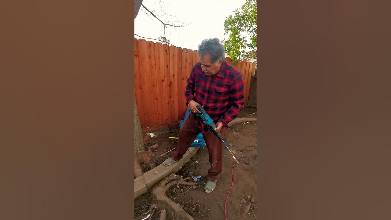 How to kill tree roots that are lifting your concrete(easy) YouTube