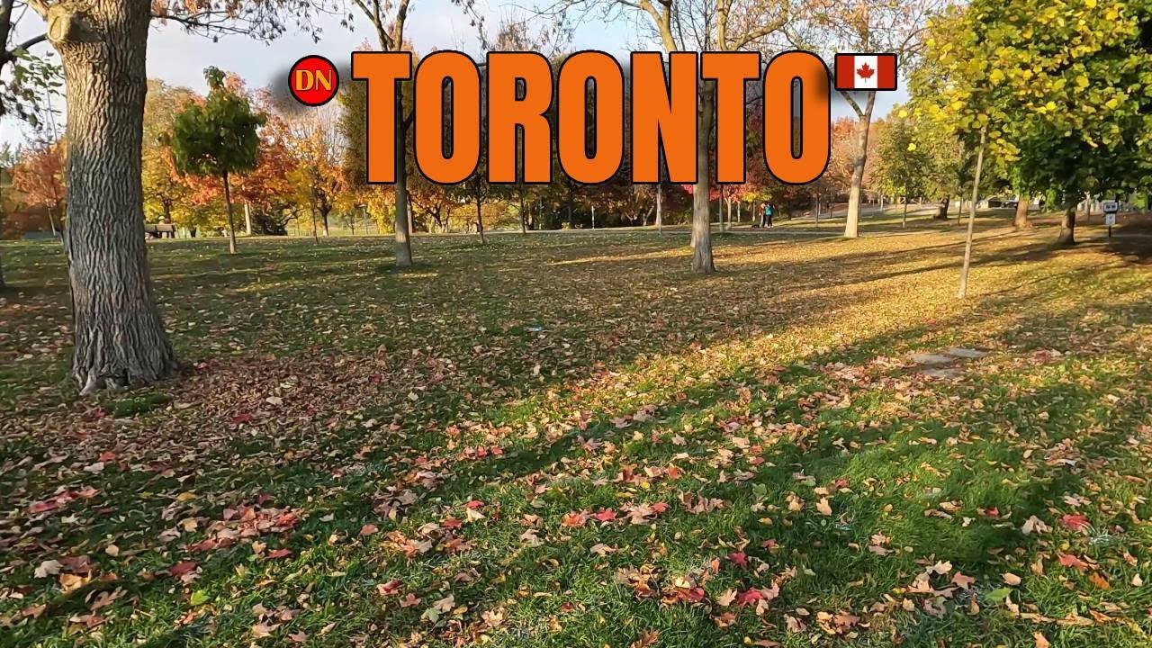 TORONTO / BLOOR STREET WEST / WALK ( NOV 2025 ) IS IT SAFE?