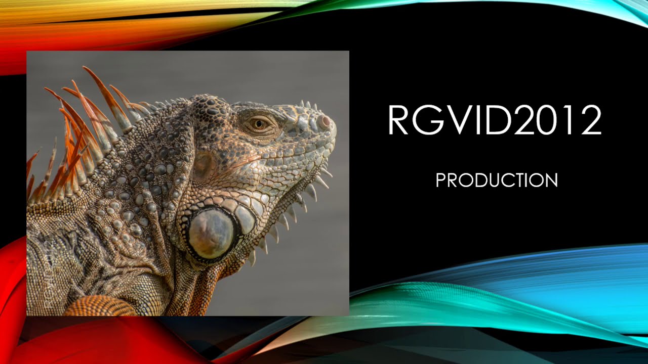 Dig the Beach Volleyball Series 2018-4