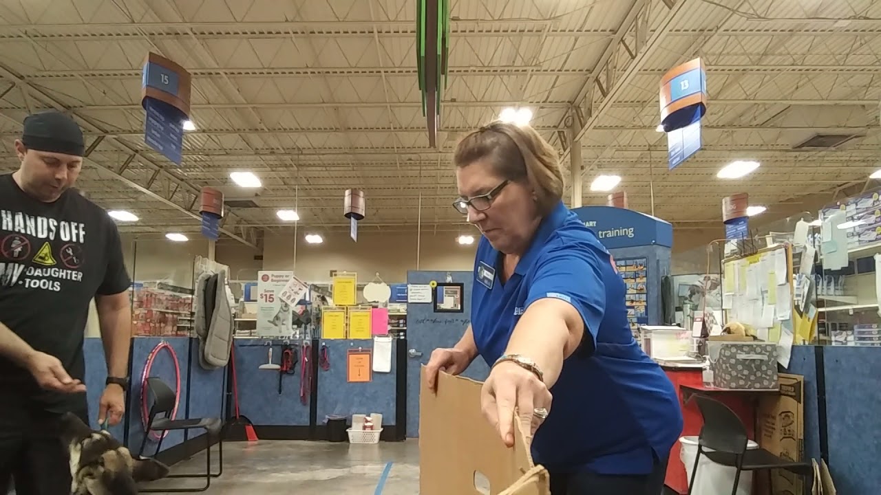 Intermediate Puppy training lesson #1 of 6 with Buddy. Trainer, Karen, at Winston Pet Smart. 7.7.21