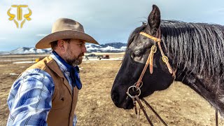 Connecting with a Horse  Calibar  Day 1