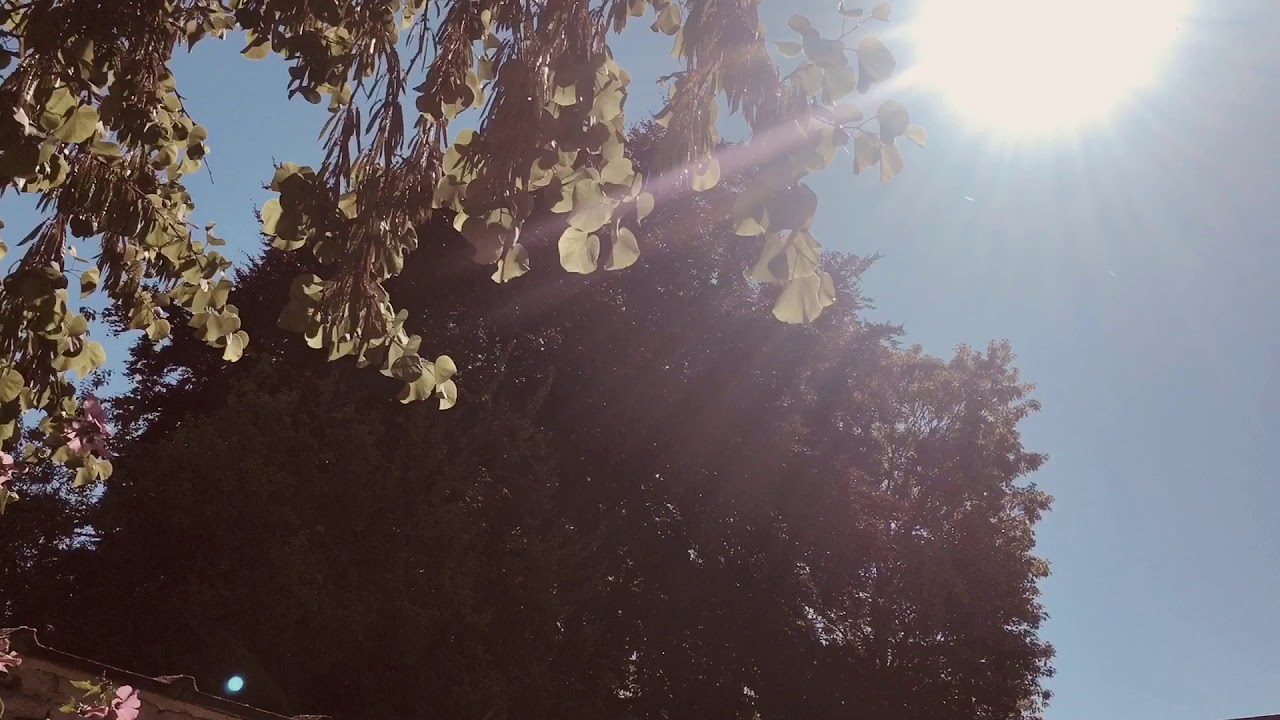 Ice Cream for Crow YouTube