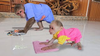 Try not to laughMonkey Su naughty drags Kuku clean house help mom